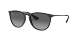 Ray-Ban RB4171 622/T3 Round Polarized Sunglasses