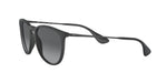 Ray-Ban RB4171 622/T3 Round Polarized Sunglasses