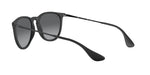 Ray-Ban RB4171 622/T3 Round Polarized Sunglasses