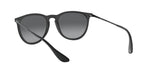 Ray-Ban RB4171 622/T3 Round Polarized Sunglasses