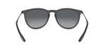 Ray-Ban RB4171 622/T3 Round Polarized Sunglasses
