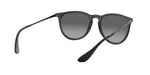 Ray-Ban RB4171 622/T3 Round Polarized Sunglasses