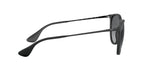 Ray-Ban RB4171 622/T3 Round Polarized Sunglasses