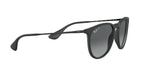 Ray-Ban RB4171 622/T3 Round Polarized Sunglasses