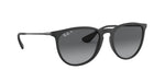 Ray-Ban RB4171 622/T3 Round Polarized Sunglasses