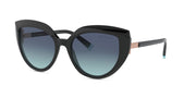 Tiffany & Co. TF 4170 80019S Cat Eye Sunglasses