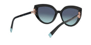 Tiffany & Co. TF 4170 80019S Cat Eye Sunglasses