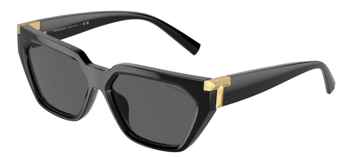 Tiffany & Co. 0TF4205U 8001S4 Cat Eye Sunglasses