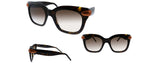 Pomellato PM0030S 002 Square Sunglasses