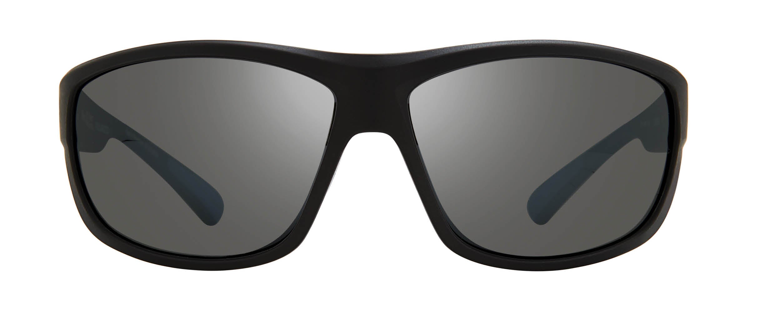 Revo polarized sunglasses sale online