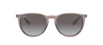 Ray-Ban RB 4171 65138G Round Sunglasses
