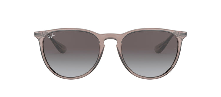 Ray-Ban RB 4171 65138G Round Sunglasses