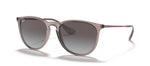 Ray-Ban RB 4171 65138G Round Sunglasses