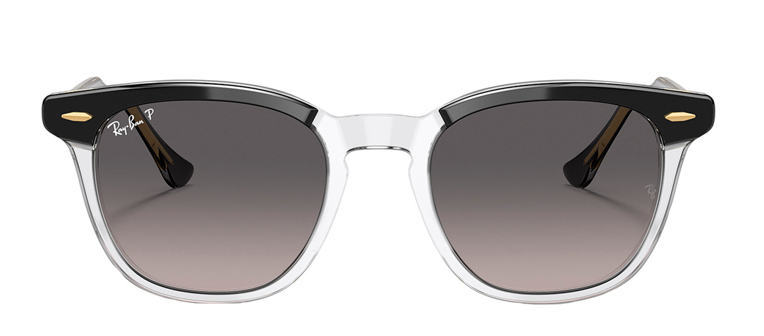 Ray Ban RB2203 man sunglasses 