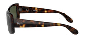 Ray-Ban RB4389 710/31 Wayfarer Sunglasses