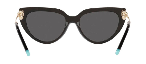 Tiffany & Co. 0TF4195 8001S4 Cat Eye Sunglasses