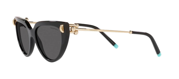 Tiffany & Co. 0TF4195 8001S4 Cat Eye Sunglasses