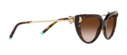 Tiffany & Co. 0TF4195 80153B Cat Eye Sunglasses
