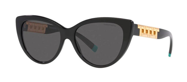Tiffany & Co. 0TF4196 8001S4 Cat Eye Sunglasses from TIFFANY T