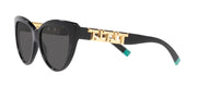 Tiffany & Co. 0TF4196 8001S4 Cat Eye Sunglasses from TIFFANY T