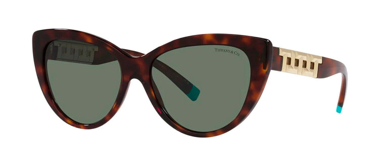 Tiffany & Co. 0TF4196 80023H Cat Eye Sunglasses from TIFFANY T