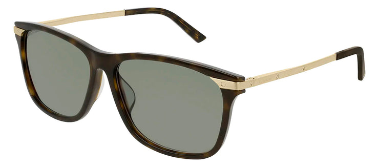 Cartier CT0104SA 002 Wayfarer Sunglasses