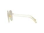 DIORSTELLAIRE BU 32Z Butterfly Sunglasses