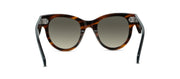 Celine CL 4003IN 56F Cat Eye Sunglasses