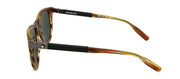 Montblanc MB0031S 004 Wayfarer Sunglasses