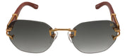 Vintage Frames Company VF V-DÉCOR XL WOODS 0003 Rectangle Sunglasses